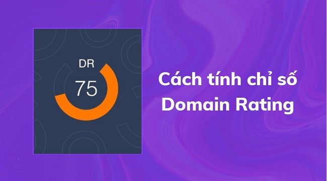 Cách tính chỉ số Domain Rating