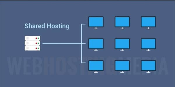 Shared Hosting